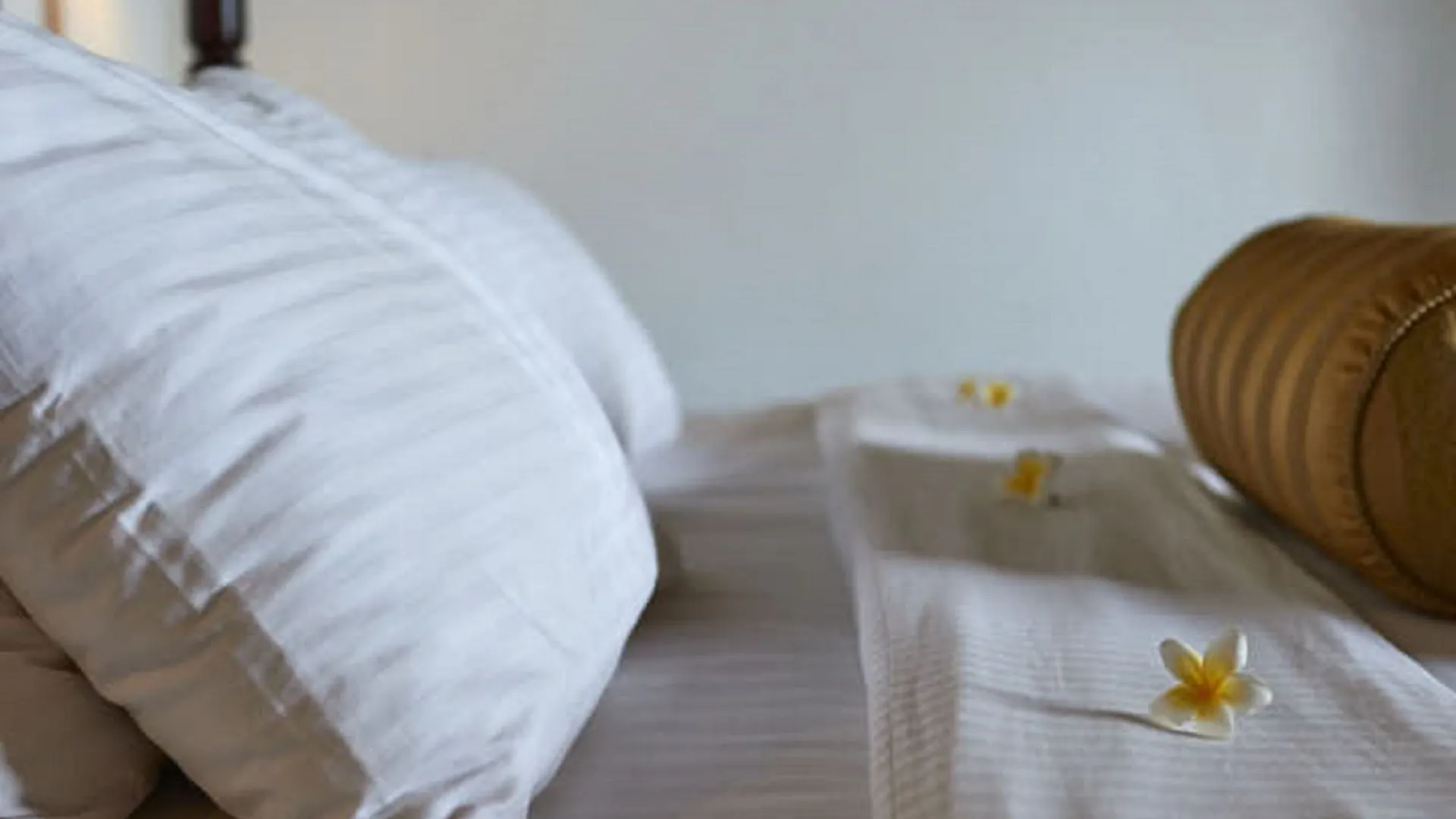 Villa Sunbird Negombo Guest house