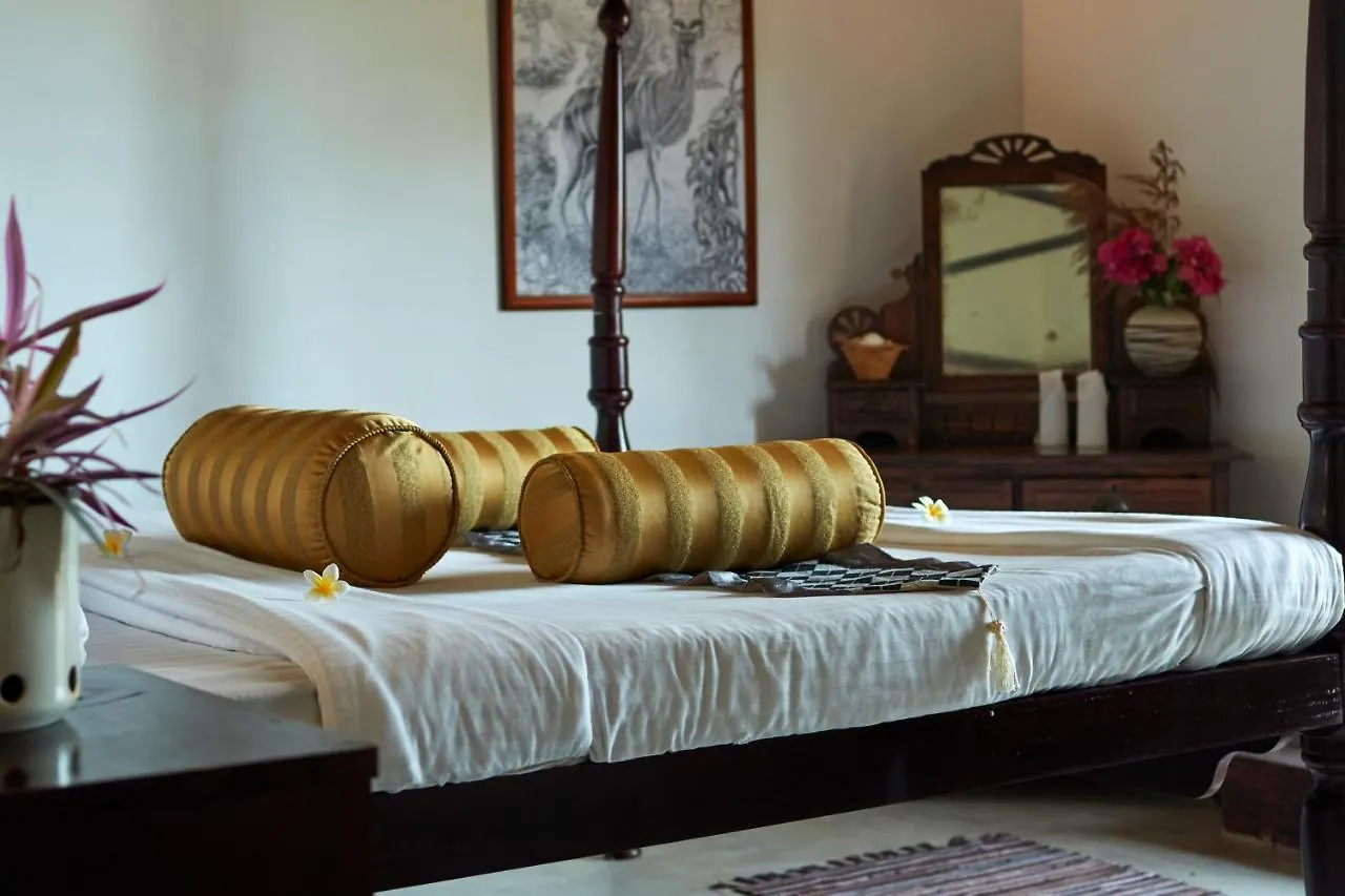 Villa Sunbird Negombo Guest house